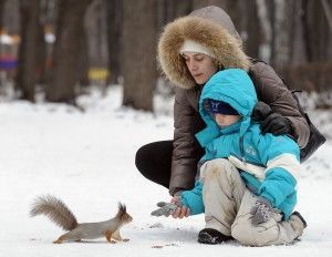 ITAR-TASS: MOSCOW, RUSSIA. JANUARY, 2012. Mother with a child feeding a squirrel in the Izmailovo Park (Izmaylovsky Park) in winter. (Photo ITAR-TASS/ Artyom Korotayev) Ðîññèÿ. Ìîñêâà. Ãîðîæàíå â Èçìàéëîâñêîì ïàðêå êóëüòóðû è îòäûõà. Ôîòî ÈÒÀÐ-ÒÀÑÑ/ Àðòåì Êîðîòàåâ