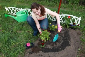 Жительница района Замоскворечье самостоятельно организовала цветник