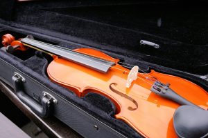 Музыкальные композиции исполнит скрипач Роман Глухов. Фото: pixabay.com