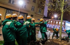 Более 700 деревьев высадят на улицах столицы до конца года. Фото: сайт мэра Москвы