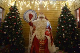 Праздничную программу покажут в библиотеке №13. Фото: Александр Кожохин, «Вечерня Москва»