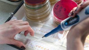 Лаборатории Москвы проводят около 4 тыс анализов на коронавирус в сутки. Фото: сайт мэра Москвы
