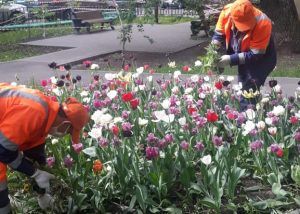 Сотрудники «Жилищника» в мае высадили цветы по 28 адресам района. Фото предоставили в ГБУ «Жилищник» района