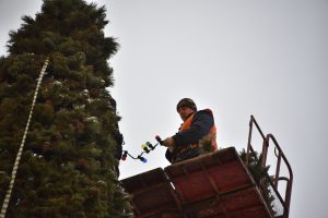 Новогоднюю елку установят в районе. Фото: Пелагия Замятина, «Вечерняя Москва»