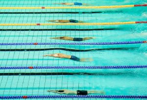Команда по плаванию Плехановского университета примет участие в соревнованиях. Фото: сайт мэра Москвы