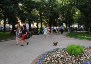 Экскурсию по Гоголевскому бульвару организует гид библиотеки №13. Фото: Александр Кожохин, «Вечерняя Москва»