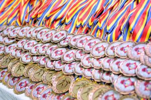 Плехановцы завоевали три медали на чемпионате России по джиу-джитсу. Фото: pixabay.com