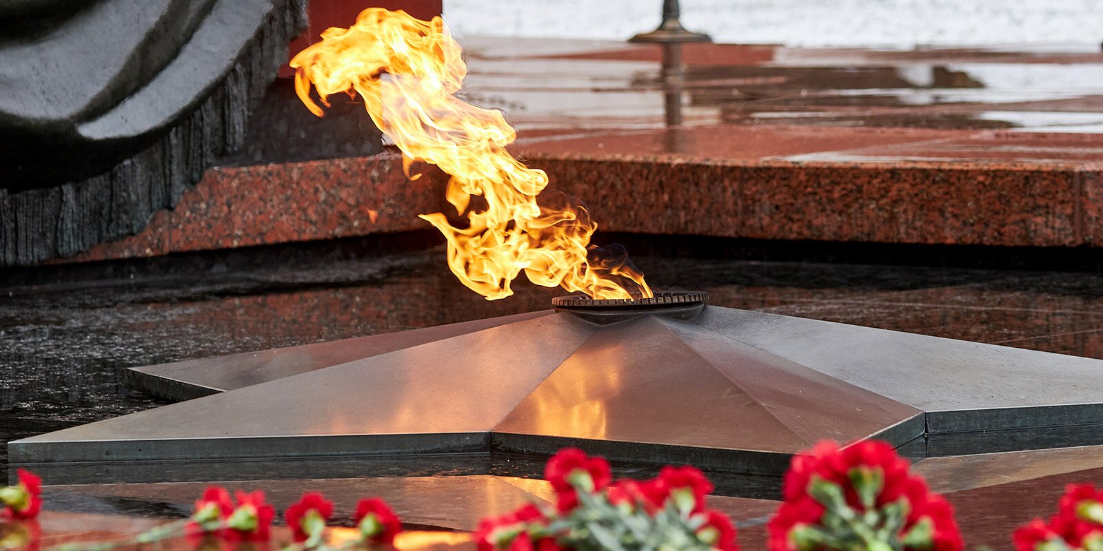 Вечный огонь и гвоздики