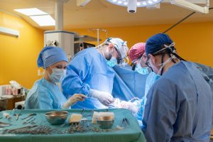 Сложную операцию на сердце провели в Морозовской больнице. Фото взято с официальной страницы больницы в социальных сетях