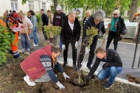 Высадку деревьев провели в Замоскворечье. Фото: страница управы района Замоскворечье в социальных сетях