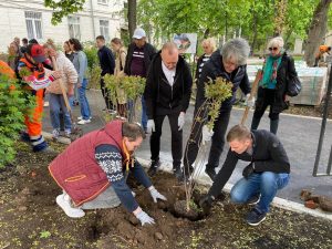 Высадку деревьев провели в районе Замоскворечье. Фото: страница управы района Замоскворечье в социальных сетях