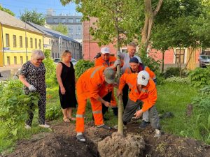 Территорию района озеленили сотрудники управы района Замоскворечье. Фото: страница управы района Замоскворечье в социальных сетях