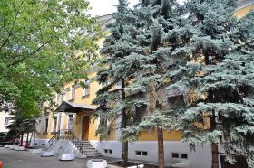 «Реликтовый лес»: лекция о заповеднике состоится в Музее леса. Фото: Анна Быкова, «Вечерняя Москва»