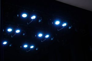 Концерт французской музыки пройдет в музее Сергея Есенина. Фото: Анна Быкова, «Вечерняя Москва»