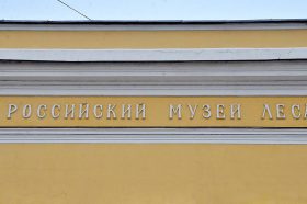 Лекция ко дню тигра состоится в музее леса. Фото: Анна Быкова, «Вечерняя Москва»