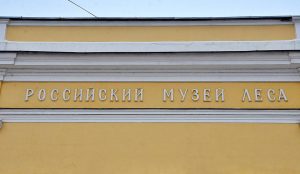 Лекция ко дню тигра состоится в музее леса. Фото: Анна Быкова, «Вечерняя Москва»