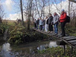 Студенты колледжа малого бизнеса №4 провели день на природе. Фото: официальная страница колледжа малого бизнеса №4 в социальных сетях
