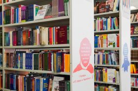 Лекция об Индии в фольклоре состоится в отделе «Научка». Фото: Ксения Догонашева, «Вечерняя Москва»