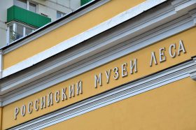 Сотрудники Российского музея леса подготовили экспозицию о деятельности Георгия Редько. Фото: Анна Быкова, «Вечерняя Москва»