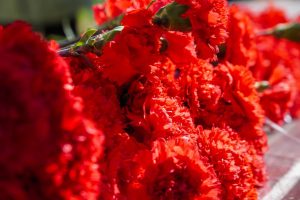 Делегация Плехановского университета приняла участие в патронатной акции. Фото: Ксения Догонашева, «Вечерняя Москва»