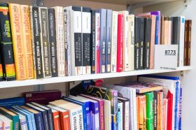 Персональная выставка откроется в библиотеке №13. Фото: Ксения Догонашева, «Вечерняя Москва»