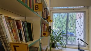 Детское занятие проведут в рамках лектория в отделе «Научка». Фото: Алина Иржанова, «Вечерняя Москва»