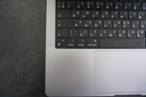 Познавательное занятие проведут на факультете НИУ ВШЭ. Фото: Дарья Казачок, «Вечерняя Москва»